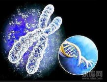 银屑病是怎么引起的,银屑病是什么原因引起的,银屑病是怎么得的