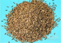 荨麻疹偏方民间偏方,荨麻疹偏方大全,治疗荨麻疹的偏方