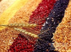 血糖高吃什么好,高血糖吃什么好,血糖高的人吃什么好