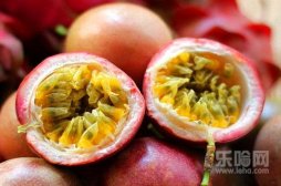 百香果治咳嗽吗,百香果怎么吃治咳嗽