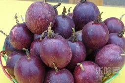 百香果和罗汉果一样吗,百香果和罗汉果的区别