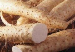 吃山药会胖吗,山药会发胖吗,山药的热量