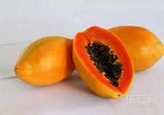 木瓜热性还是凉性,木瓜凉性还是热性,木瓜是凉性还是热性