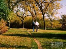 什么运动健脑,哪些运动健脑,健脑运动