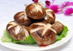 吃蘑菇有什么好处,吃蘑菇的好处,蘑菇有什么营养