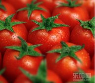 番茄的功效与作用,西红柿的功效与作用,番茄的作用