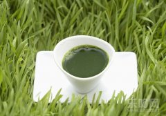 苦瓜汁的功效与作用, 苦瓜汁有什么功效, 苦瓜汁有什么作用