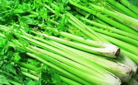 防癌的蔬菜,抗癌的蔬菜有哪些,哪些蔬菜抗癌