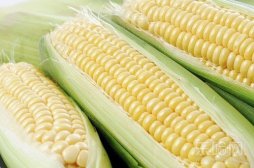 吃什么食物防癌,防癌抗癌食物,防癌吃什么食物