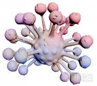 关于癌症预防和早诊的较全面知识