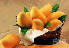 妊娠反应吃什么水果,妊娠期吃什么水果好