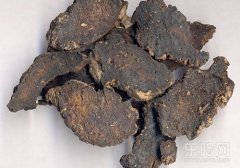 玄参的功效与作用及禁忌,玄参的功效与作用及食用方法,玄参的功效