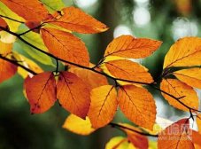 8个小动作延年益寿，令你百病不侵