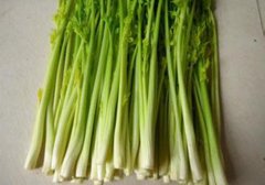 水芹菜有毒吗,水芹菜是否有毒,水芹菜是不是有毒