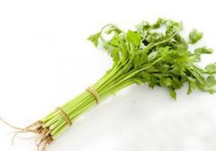 水芹菜有寄生虫吗,水芹菜里面有寄生虫吗,水芹菜是不是有寄生虫