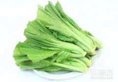 芥菜可以做芥末吗,芥菜与芥末的关系,芥菜和芥末有什么不同