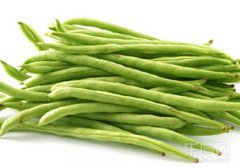 四季豆的营养价值及功效,四季豆有什么营养,四季豆营养
