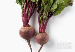 甜菜根怎么吃,甜菜根吃法,甜菜根的吃法