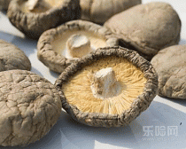 干香菇和鲜香菇的区别