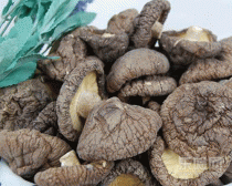 干香菇的营养价值