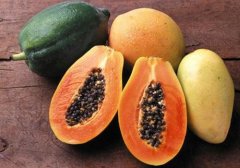 青木瓜孕妇可以吃吗,孕妇可以吃青木瓜吗,孕妇能吃青木瓜吗