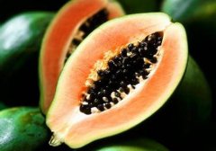 青木瓜的功效与作用,青木瓜的作用与功效,青木瓜有什么功效