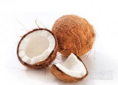 吃椰子肉会胖吗,椰子肉的热量是多少