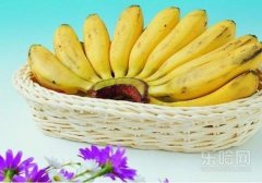 芭蕉孕妇能吃吗,芭蕉孕妇可以吃吗,孕妇能吃芭蕉吗
