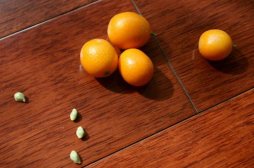 小金桔的功效与作用,小金桔的功效,小金桔的功效与作用及食用方法