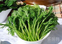 茼蒿的营养价值及食用方法,茼蒿有什么营养,茼蒿的营养成分