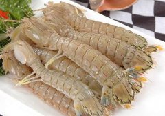 吃虾过敏的应急措施,吃虾过敏怎么办