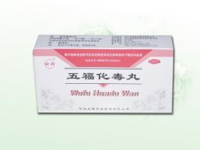 五福化毒丸(6g)