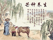 二十四节气养生之芒种养生