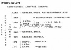 活血疗伤药的功用