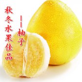 秋冬水果佳品--柚子