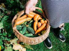 胡萝卜的正确吃法 胡萝卜素怎么提取