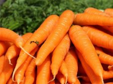 胡萝卜素儿童可以吃吗 哪些人适合服用