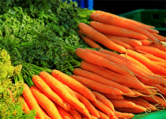 胡萝卜素是否真的能改善视力？