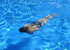 49岁温碧霞同学聚会似少女 女星护肤心得公开