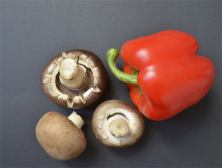 松茸为什么那么贵 松茸的食用价值