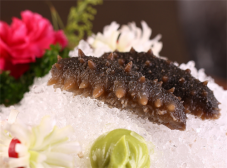 孕妇可以吃海参吗 海参发制的注意事项