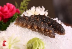 海参营养价值 春季可以吃海参吗