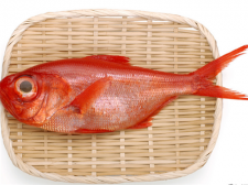 鱼翅卡喉咙的解决方法