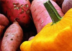 红薯的好处和坏处 红薯的饮食禁忌