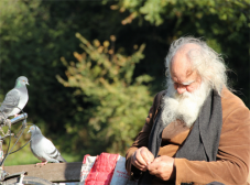 中老年人如何预防白发？