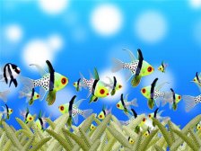 草鱼汤的做法 草鱼汤滋补又营养