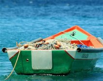 草鱼的好处和坏处 草鱼怎么做好吃