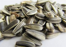 吃什么有助于睡眠 睡前吃这些让你睡的香