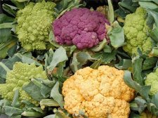 西兰花和什么搭配好 六种黄金搭档营养翻倍