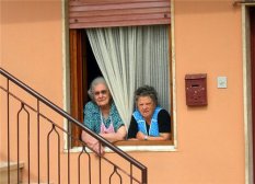 练习太极拳的六个基本功 太极拳的几个基本步法